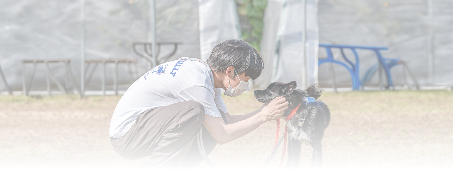 PETHROOM 1004 Project Background