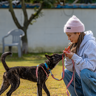 따듯한 여정의 순간 4