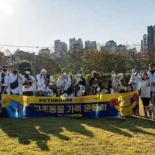 따듯한 여정의 순간 6