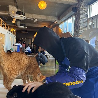 따듯한 여정의 순간 7