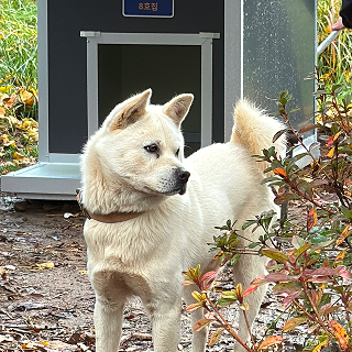 따듯한 여정의 순간 10