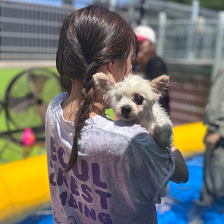 따듯한 여정의 순간 11