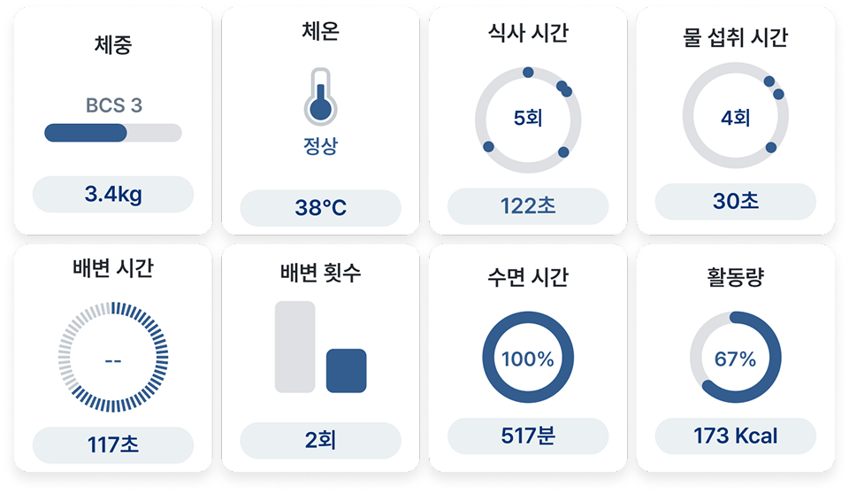 건강지표 대시보드